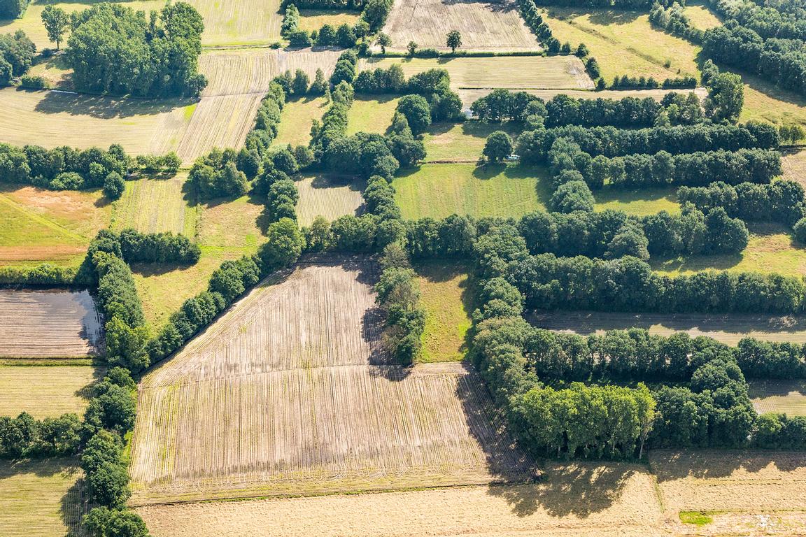 Luchtfoto met zicht op het houtkantenlandschap in Langeren.